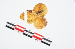 Foto von Goldzierblech (NHMW-PRAE-025251)